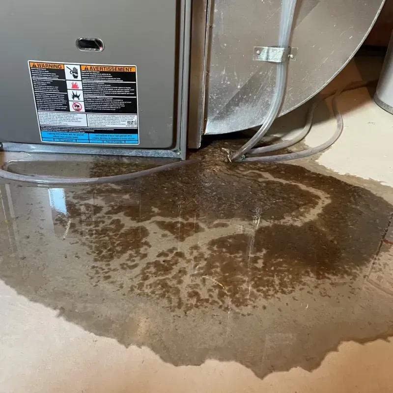 Appliance Leak Cleanup in Pike County, PA